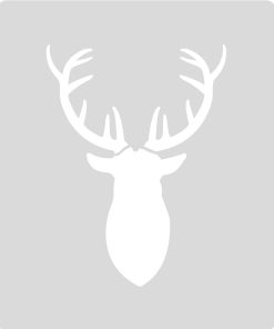 Alternative view of Deer Antlers