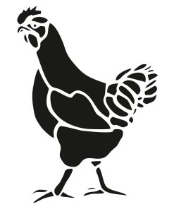 Hen - kura - aplikacja