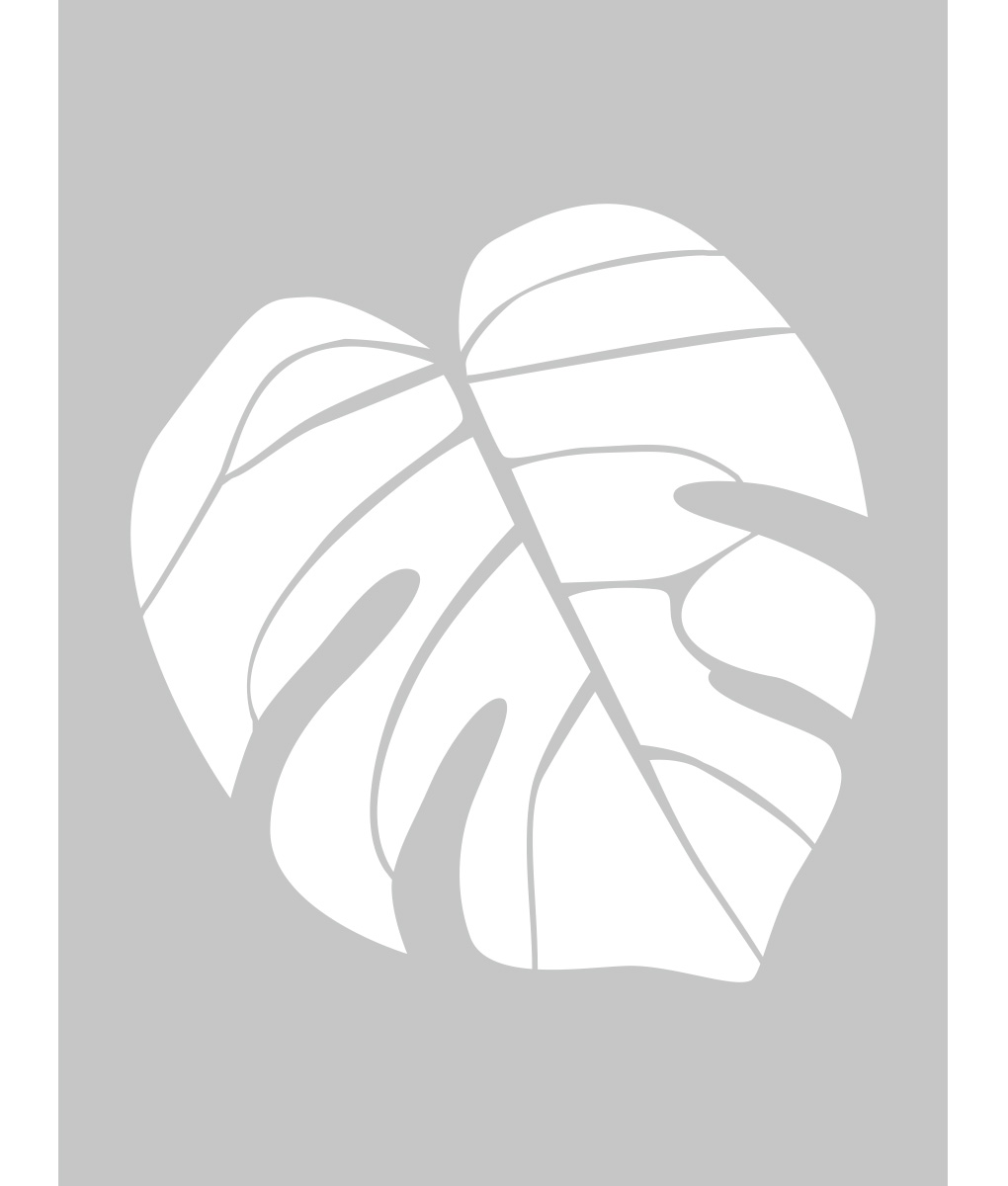 philodendron sunlight Sun Red Philodendron  Lichtenfelt's